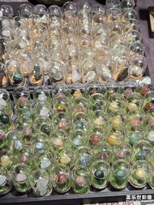 【透過鏡頭感受世界】+五彩繽紛