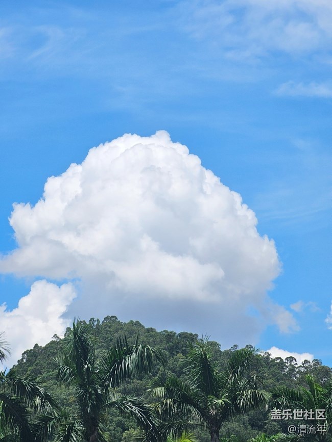 【秋季天空】藍(lán)天正當(dāng)時