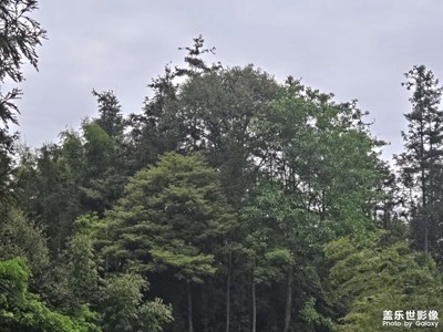 【透過(guò)鏡頭感受世界】+看鏡頭