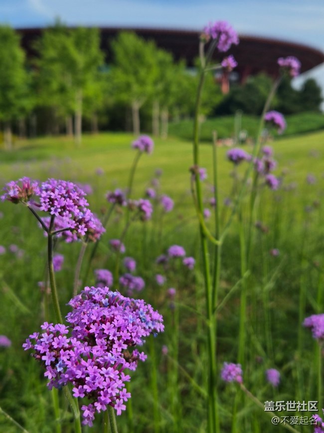 【立秋相簿】立秋郊游