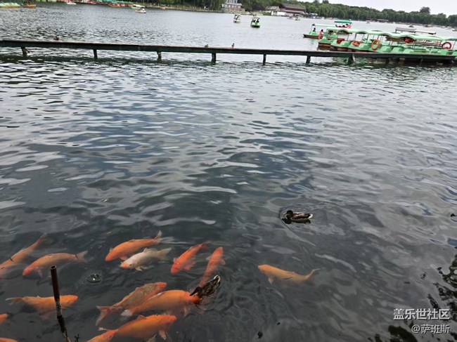 【立秋相簿】見魚發(fā)財(cái)好運(yùn)來