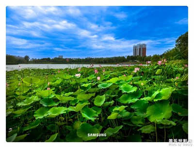 藍(lán)藍(lán)的天空