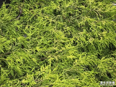 【透過鏡頭感受世界】+感受世間美好