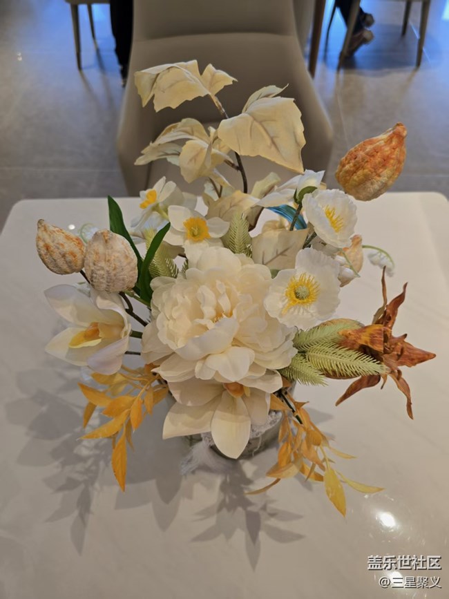 【立秋相簿】多肉植物