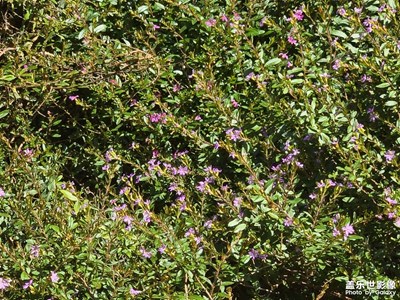 【透過鏡頭感受世界】+欣賞風景