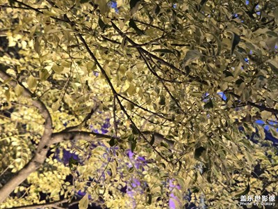 【透過鏡頭感受世界】+淺拍