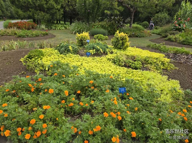 【立秋相簿】秋天花盛開