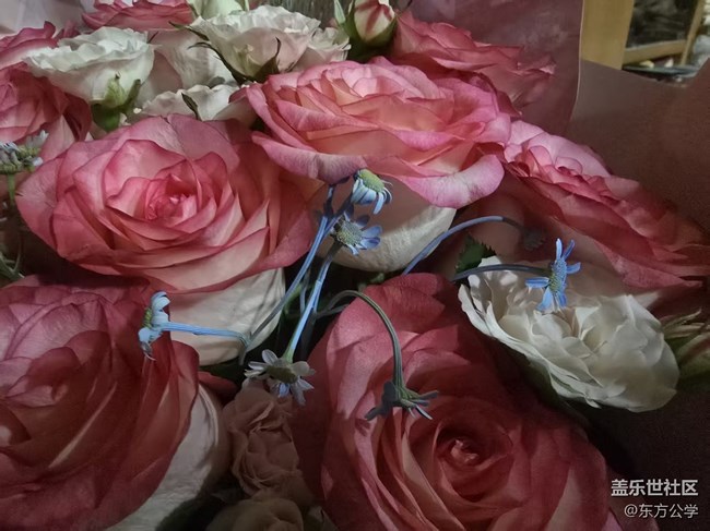 【立秋相簿】情人節(jié)收到的