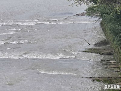 【透過鏡頭感受世界】+記錄生活