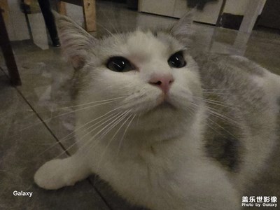 【別樣精彩】+隨處風(fēng)景