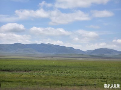 【別樣精彩】+草原