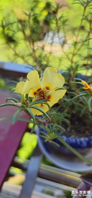 2億像素真不錯(cuò)