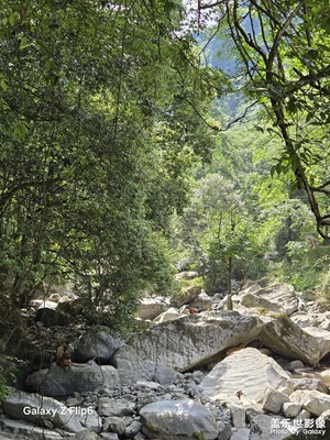 【別樣精彩】山間偶遇