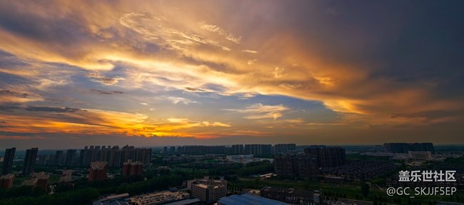 【如青春一般的盛夏】光影里的熱烈與溫柔