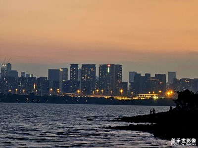 深圳的海邊夜色