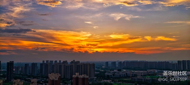 【如青春一般的盛夏】光影里的熱烈與溫柔