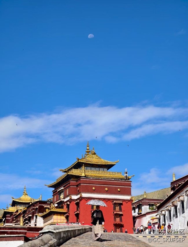 【如青春一般的盛夏】光影里的熱烈與溫柔