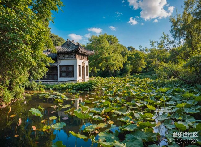 【如青春一般的盛夏】盛夏，青春的模樣