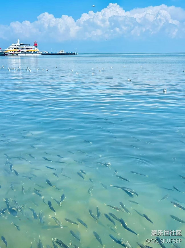【假日尾聲】旅途里的風(fēng)光與心境