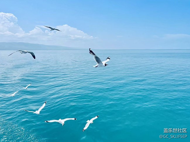 【假日尾聲】旅途里的風(fēng)光與心境