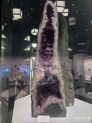 【別樣精彩】成理工博物館奇石篇