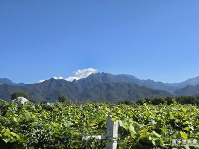 【別樣精彩】+隨處風(fēng)景