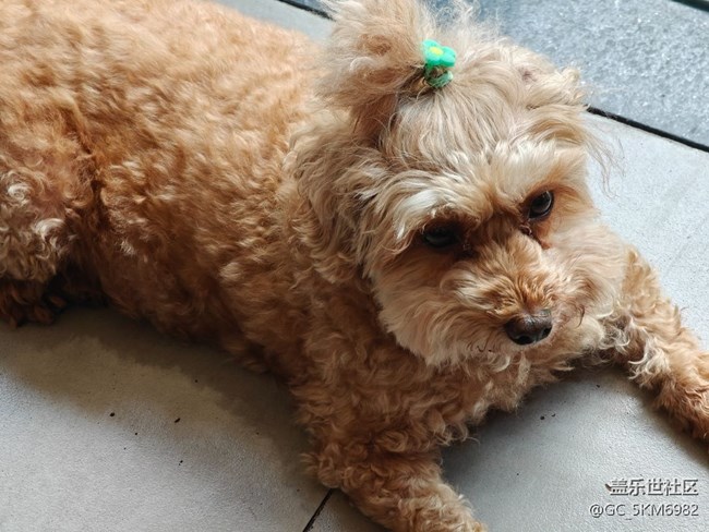 今日參加社區(qū)10周年diy慶生活動好開心