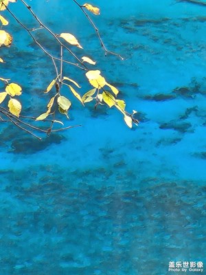 隨手拍，大家提意見，謝謝大家的支持