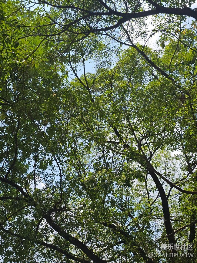 【立秋相簿】初秋晴空