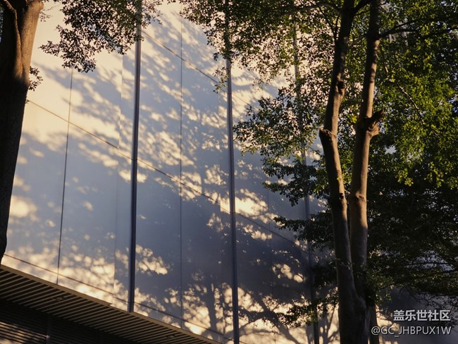 【立秋相簿】初秋晴空