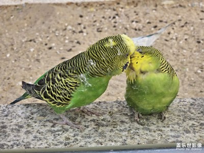 【別樣精彩】飯后時(shí)光