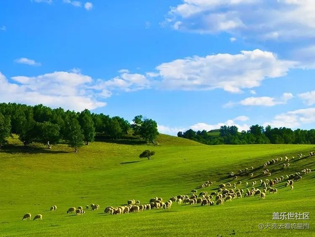 烏蘭布統(tǒng)草原   風(fēng)吹草地見牛羊