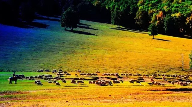 烏蘭布統(tǒng)草原   風(fēng)吹草地見牛羊