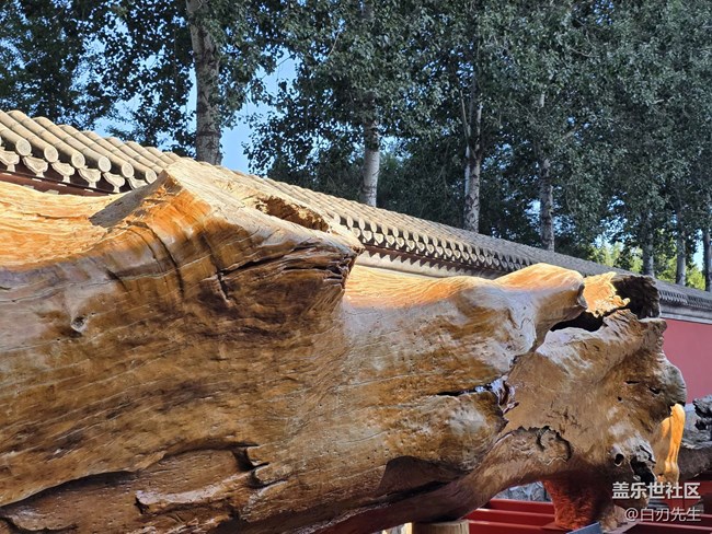 【北頂娘娘廟】娘娘廟&city街 古典與現(xiàn)代的融合映襯