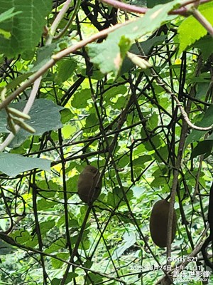 【別樣精彩】+隨處風(fēng)景