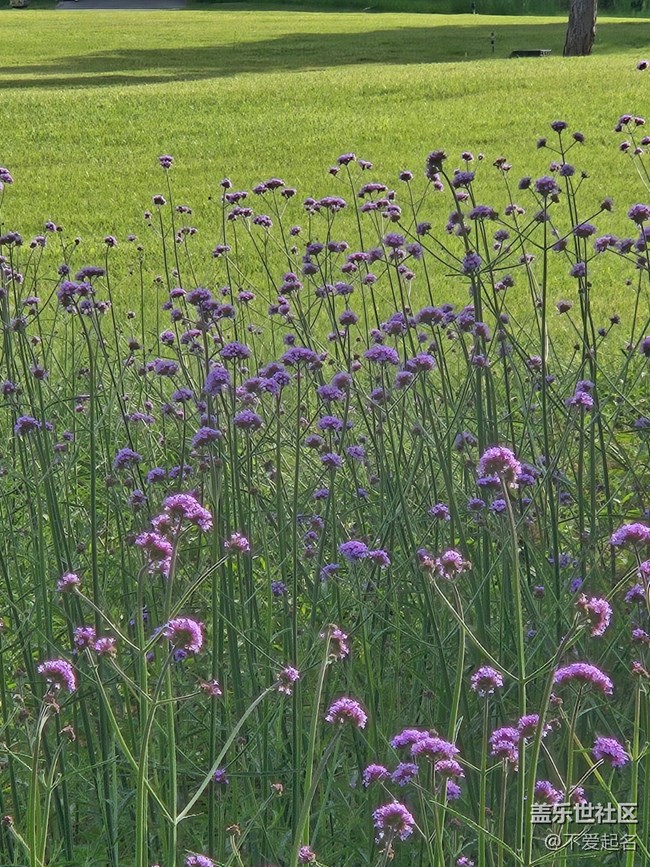 【立秋相簿】立秋郊游