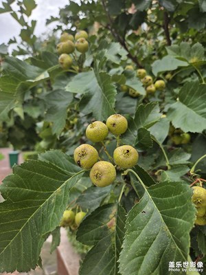 小區(qū)新發(fā)現(xiàn)