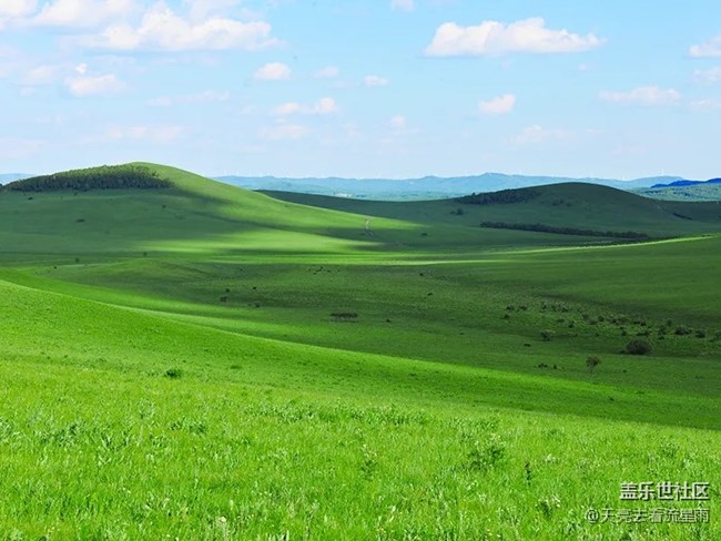 烏蘭布統(tǒng)草原   風(fēng)吹草地見牛羊