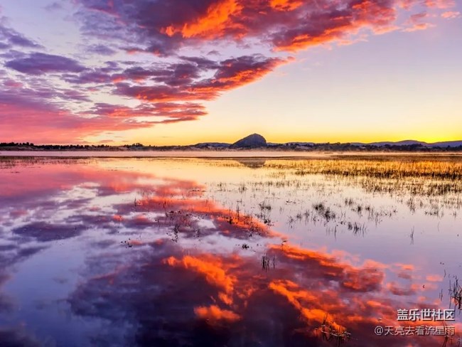烏蘭布統(tǒng)草原   風(fēng)吹草地見牛羊
