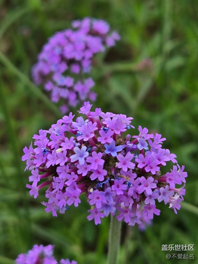 【立秋相簿】立秋郊游