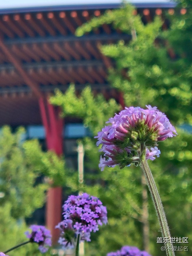 【立秋相簿】立秋郊游