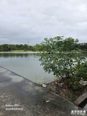 【別樣精彩】雨后