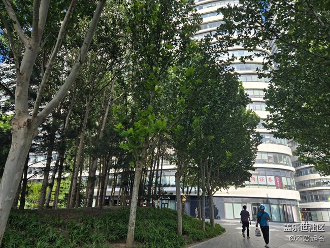 【立秋相簿】望京的秋天