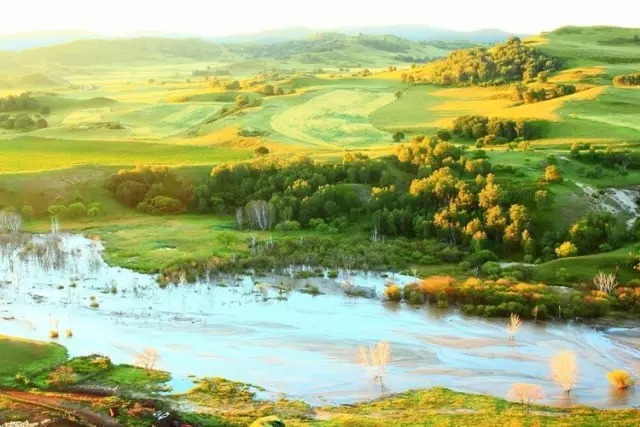 烏蘭布統(tǒng)草原   風(fēng)吹草地見牛羊