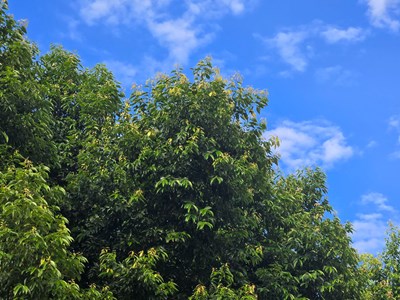 【別樣精彩】+平凡時光