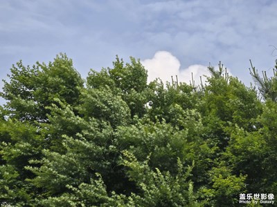 【別樣精彩】+風(fēng)景如畫