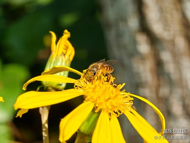 【立秋相簿】初秋如春