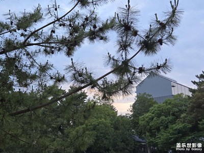 【別樣精彩】+路上風(fēng)景