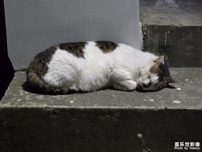 【別樣精彩】+觀察生活