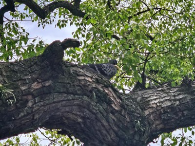 【別樣精彩】+看見自然